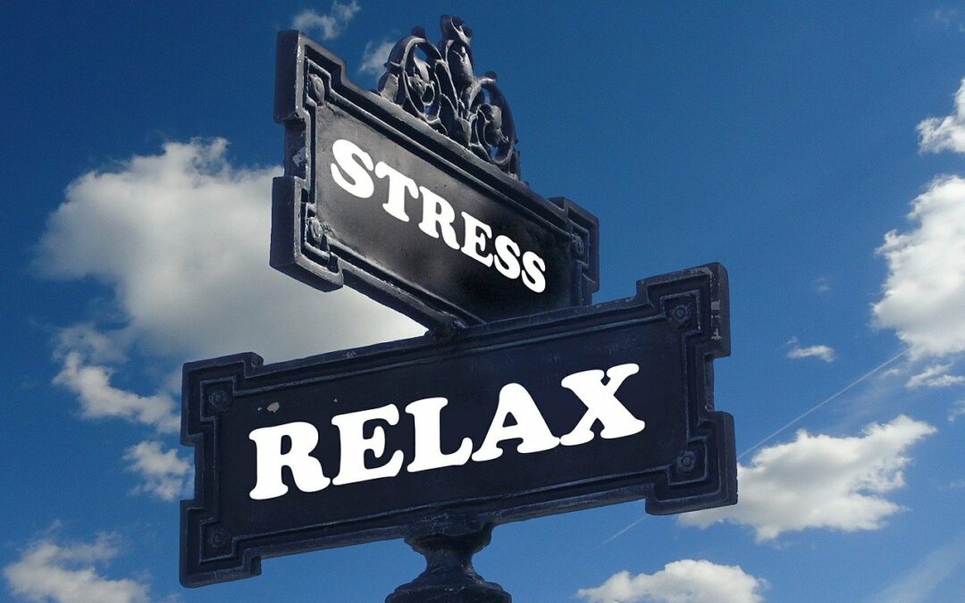 La gestion naturopathique du stress : Restaurer l’équilibre et la vitalité naturellement